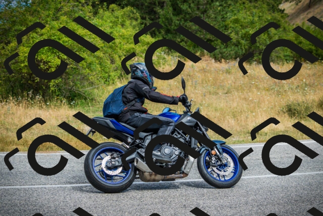 202507271055-DSC09385_c1_