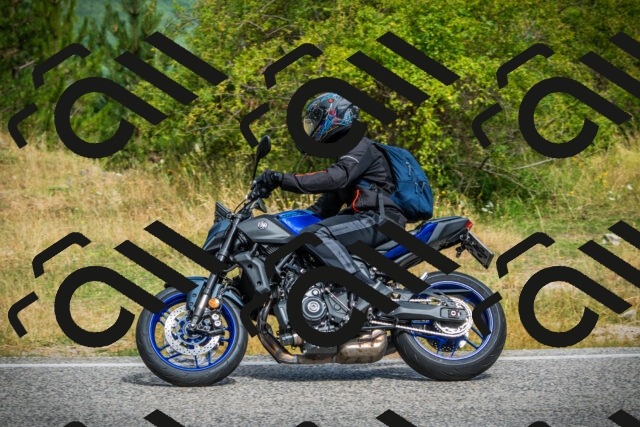 202507271055-DSC09396_c1_