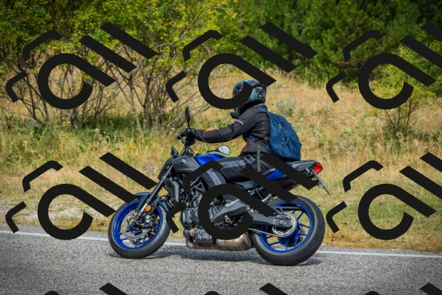 202507271055-DSC09397_c1_