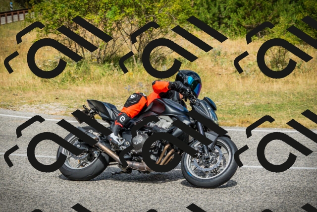 202507271057-DSC09426_c1_