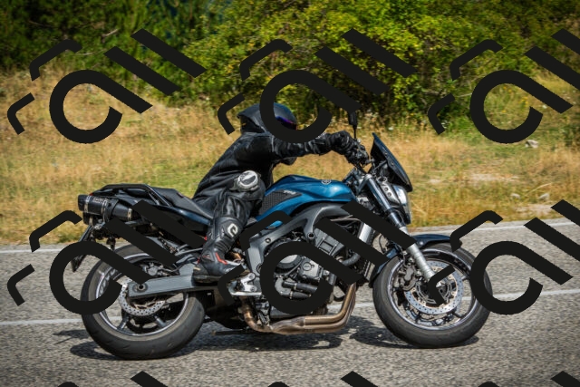 202507271058-DSC09435_c1_