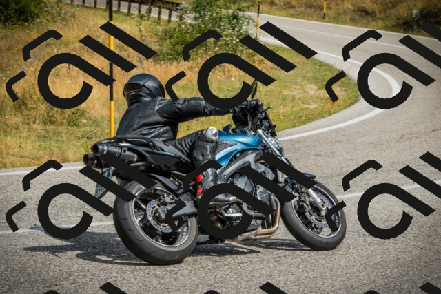 202507271058-DSC09436_c1_