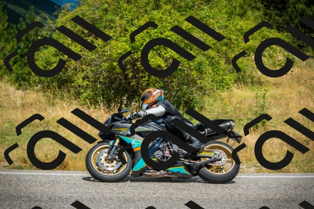 202507271130-DSC00076_c1_