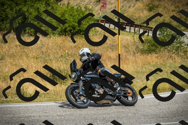 202507271130-DSC00092_c1_