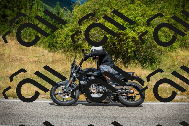 202507271130-DSC00093_c1_