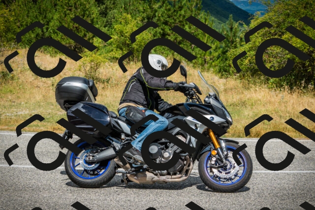 202507271131-DSC00102_c1_