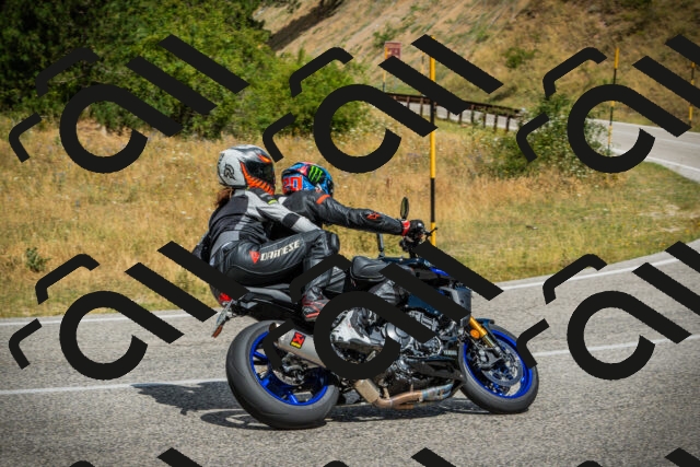 202507271131-DSC00104_c1_