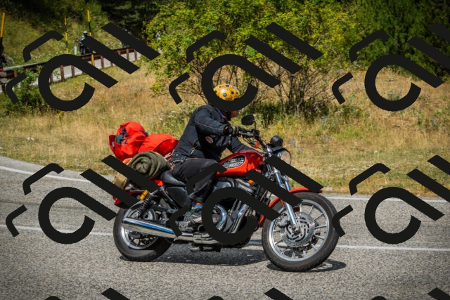 202507271131-DSC00121_c1_