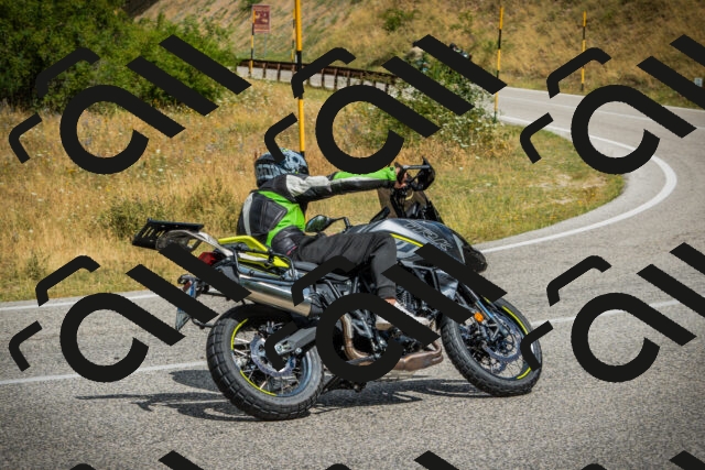 202507271131-DSC00140_c1_