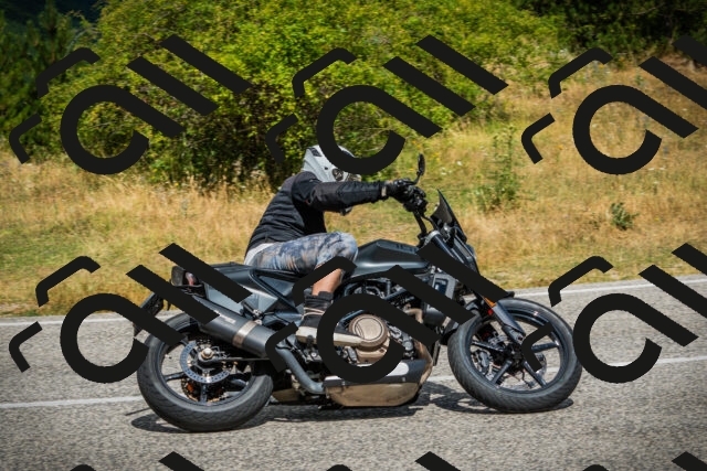 202507271131-DSC00142_c1_