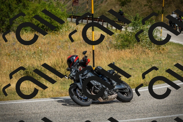 202507271132-DSC00175_c1_