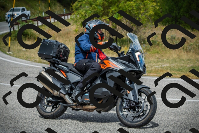 202507271132-DSC00192_c1_