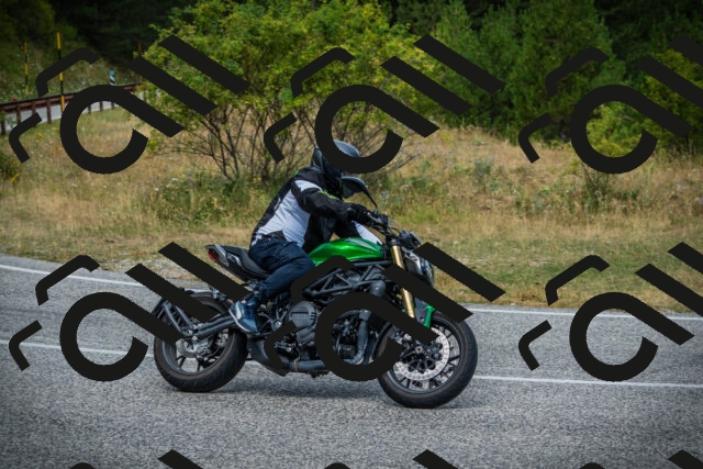 202507271133-DSC00208_c1_