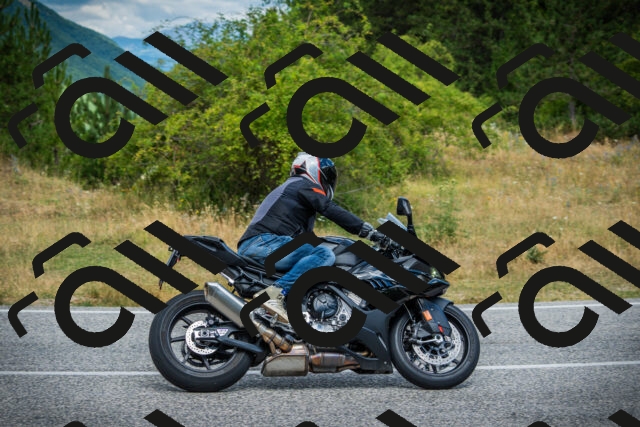 202507271133-DSC00210_c1_