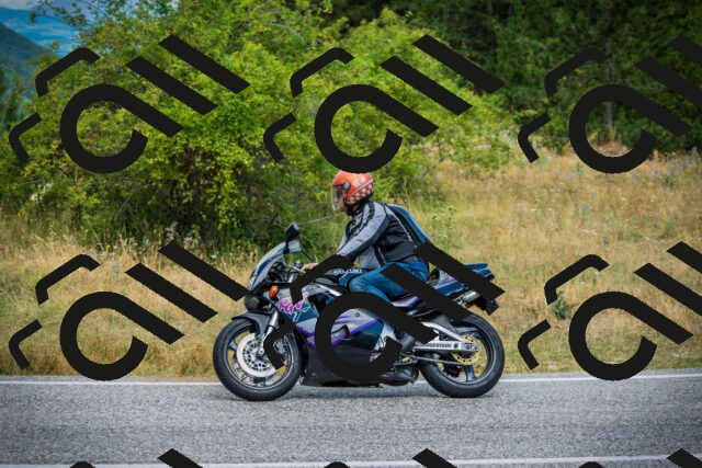 202507271133-DSC00213_c1_