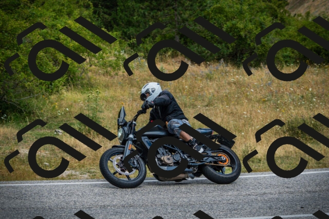 202507271134-DSC00225_c1_