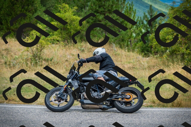 202507271134-DSC00226_c1_