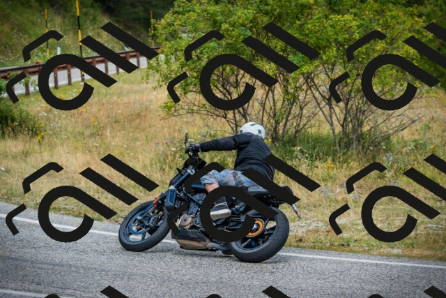 202507271134-DSC00227_c1_