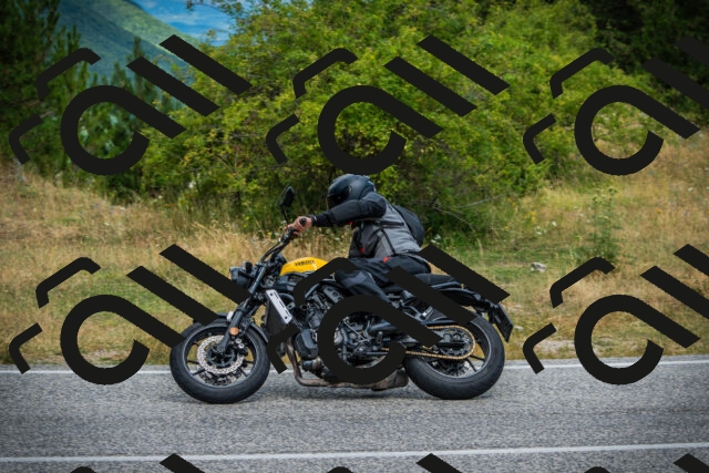 202507271134-DSC00235_c1_