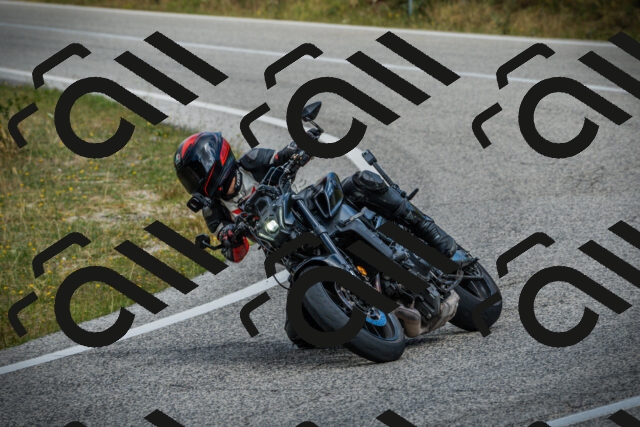 202507271134-DSC00239_c1_