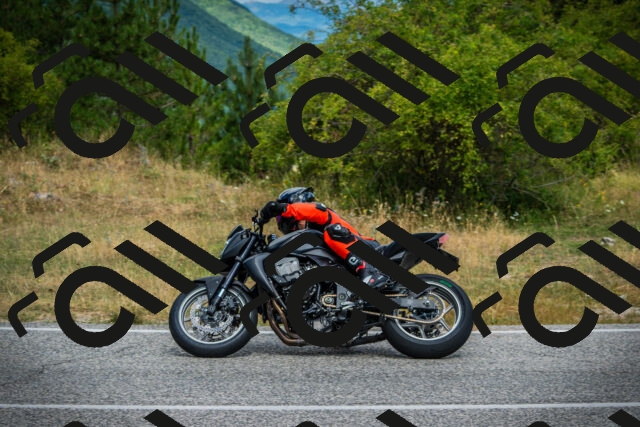 202507271134-DSC00244_c1_