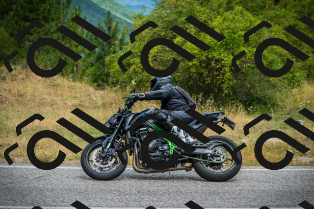 202507271134-DSC00251_c1_