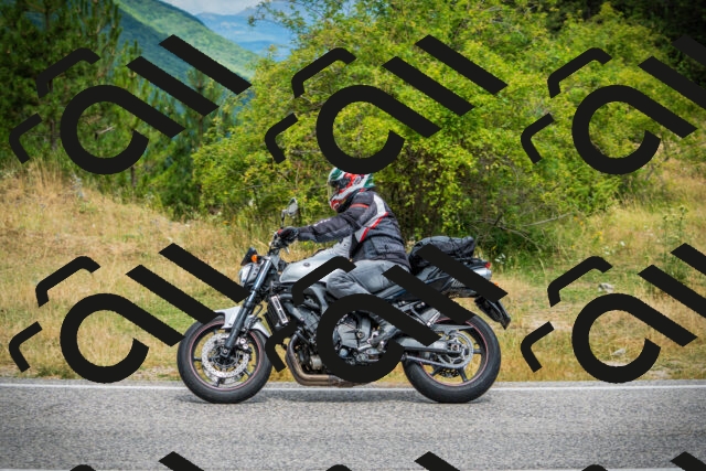 202507271135-DSC00268_c1_