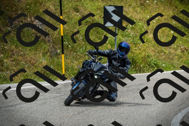 202507271135-DSC00300_c1_