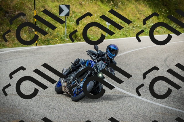 202507271135-DSC00301_c1_