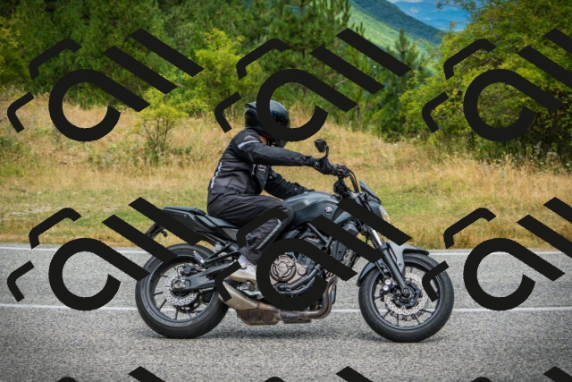 202507271137-DSC00376_c1_