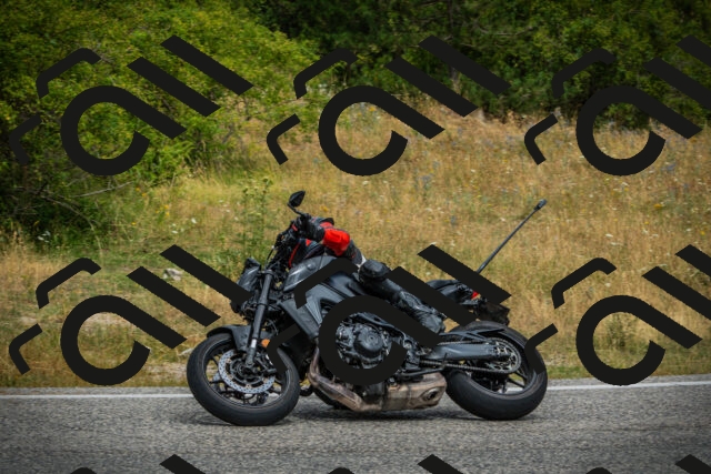 202507271138-DSC00388_c1_