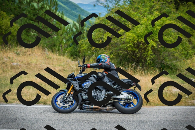 202507271140-DSC00449_c1_