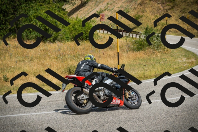 202507271143-DSC00531_c1_