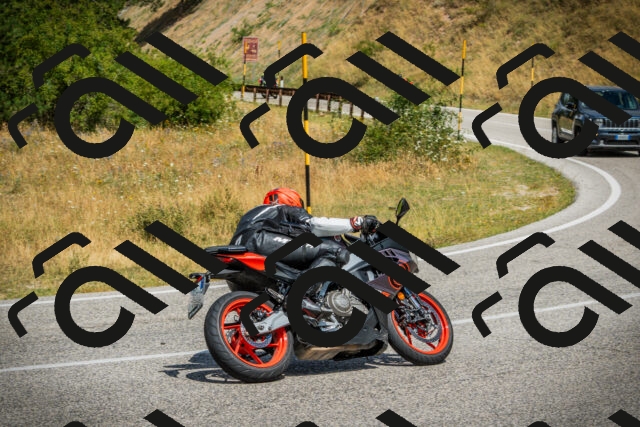 202507271146-DSC00604_c1_