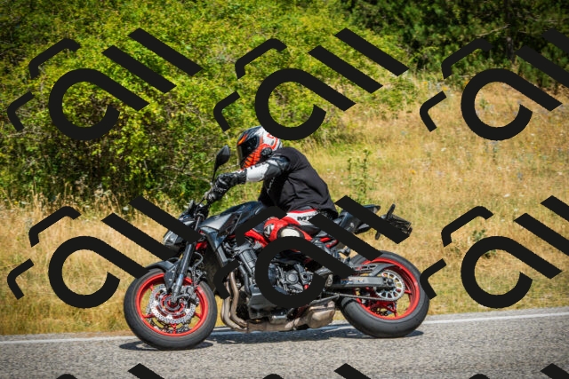 202507271147-DSC00637_c1_