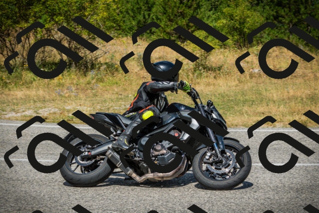 202507271147-DSC00667_c1_