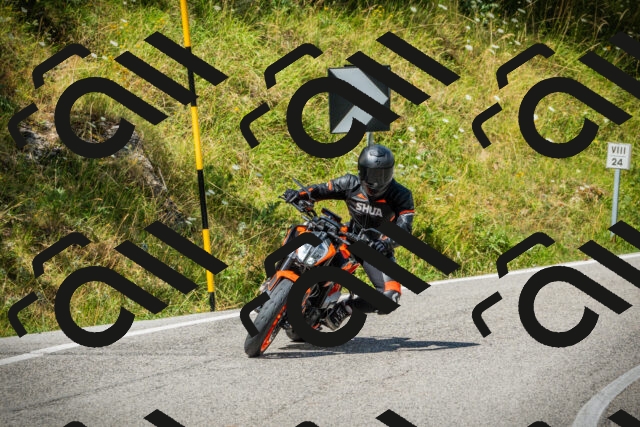 202507271147-DSC00671_c1_