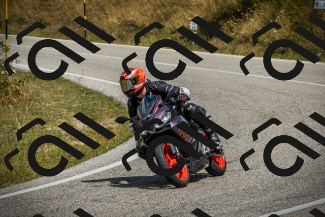 202507271150-DSC00761_c1_