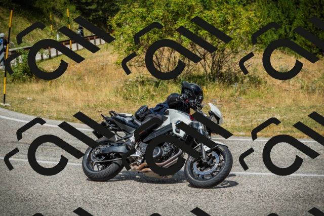 202507271153-DSC00887_c1_