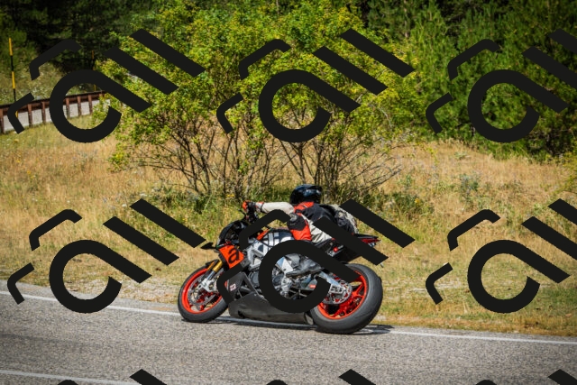 202507271153-DSC00916_c1_