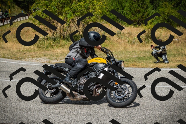 202507271153-DSC00920_c1_