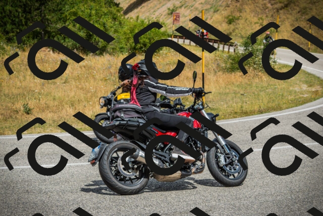 202507271154-DSC00963_c1_