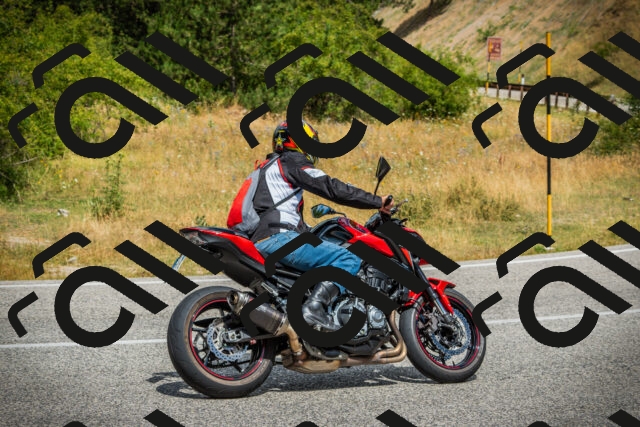 202507271154-DSC00966_c1_