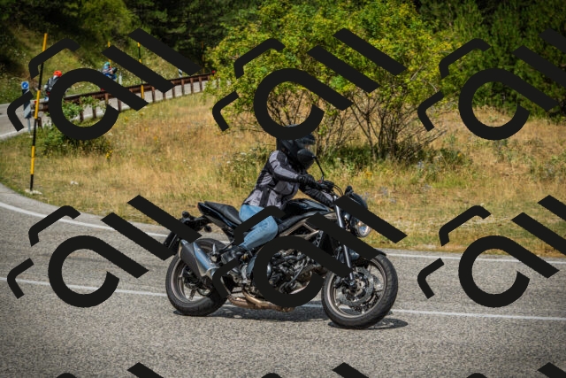 202507271154-DSC00974_c1_