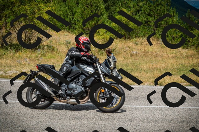 202507271154-DSC00981_c1_