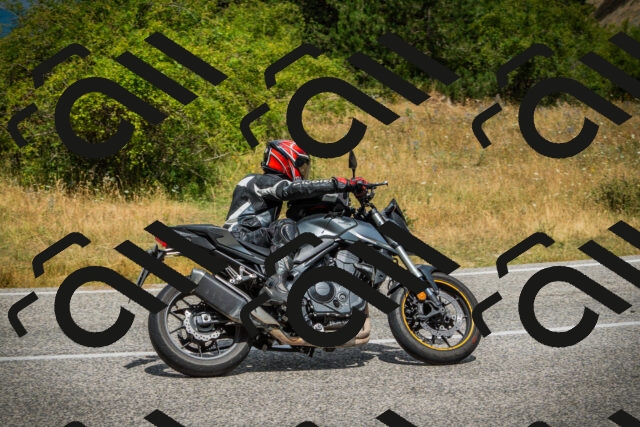 202507271154-DSC00982_c1_