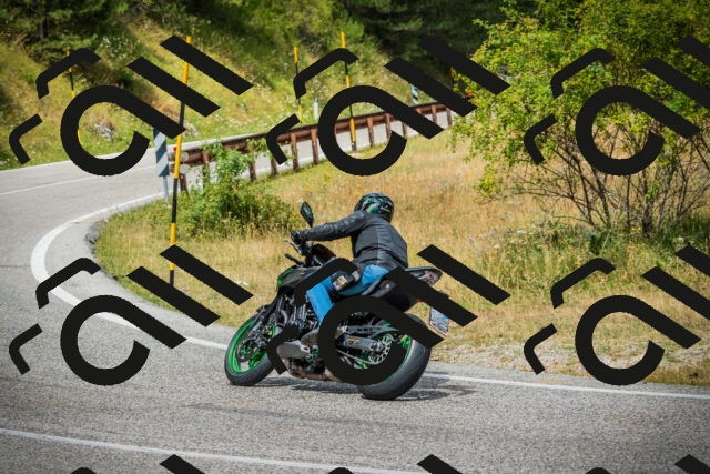 202507271155-DSC01008_c1_