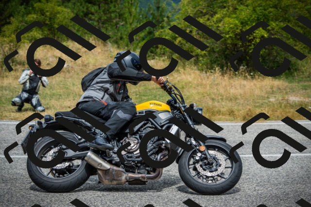 202507271155-DSC01010_c1_