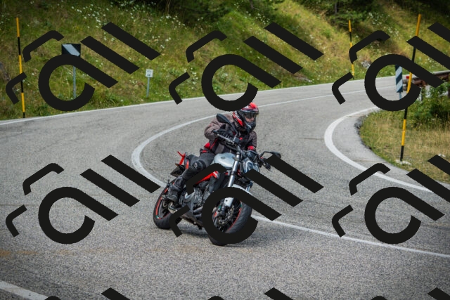 202507271156-DSC01060_c1_