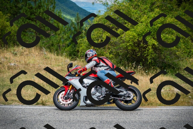 202507271156-DSC01070_c1_